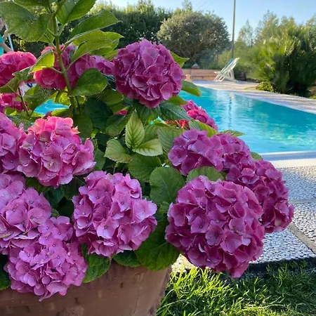 Villalara Piscina, Vista Mare Con Agevolazione Traghetti