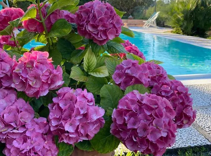 Villalara Piscina, Vista Mare Con Agevolazione Traghetti