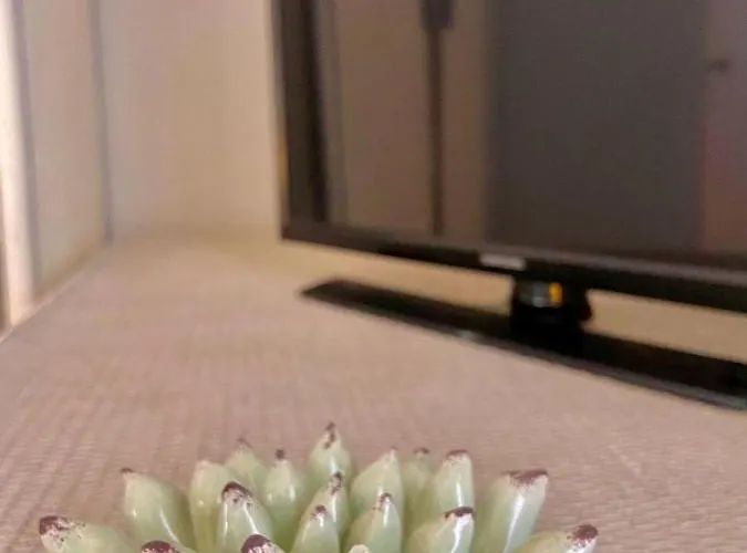 Lejlighed Villalara Piscina, Vista Mare Con Agevolazione Traghetti *